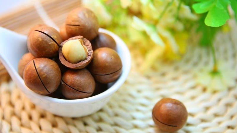 Healthy Snacking Is All About Going Nuts Over Nuts