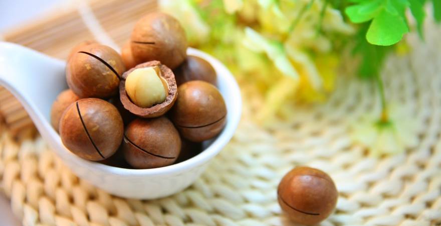 Healthy Snacking Is All About Going Nuts Over Nuts